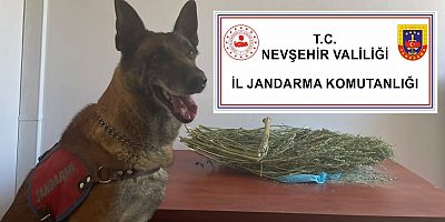 Nevşehir'de uyuşturucu operasyonu 