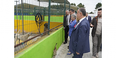 Nurten Yontar: “CAN DOSTLARIMIZ İÇİN DAHA DUYARLI, DAHA YAŞANABİLİR BİR KENT HEDEFİYLE ÇALIŞIYORUZ”