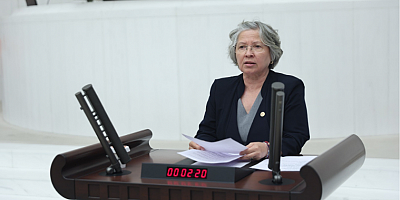 Nurten Yontar: Çocuk İşçiliği Ülkemizin Vicdanını Kanatan Ağır Bir Tabloya Dönüşmüştür