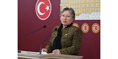 Nurten Yontar Sigorta Sektöründeki İflasları TBMM Gündemine Taşıdı