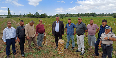 Patates üreticisinin dramı: Tarlada 4 lira, market rafında 20 lira