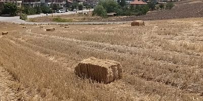 Pursaklar Ekiyor Biçiyor Üretime Can Veriyor