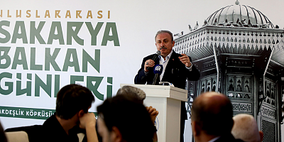 Sakarya Balkan coğrafyasına kucak açtı: “Sizin büyük ülkeniz Türkiye Cumhuriyeti’dir”