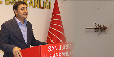 Şanlıurfa İl Başkanı Ferhat Karadağ’dan Sivrisinek ve Çekirge İstilası İle İlgili Açıklama: 
