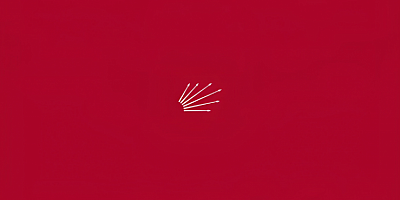 Semih Palamut: Çocuklarımızın Geleceği Karanlık Düzenin İnsafına Bırakılamaz