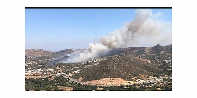 Süleyman Bülbül: “Bozdoğan’daki Yangında Gecikme İhmaldir – Ormanlarımız İhmali Affetmez”