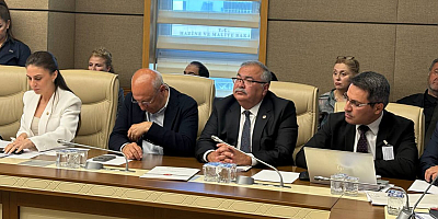 SÜLEYMAN BÜLBÜL: “ZEYTİNLİKLERİ TALANA AÇAN BU DÜZENLEMEYE GEÇİT VERMEYECEĞİZ”