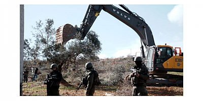 Taner Vural: Filistin’in Zeytin Ağaçlarına Yönelik Bu Saldırılar İnsanlığa Karşı Bir Suçtur