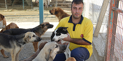 TARSUS BELEDİYESİ EKİPLERİ 5 YAVRU KÖPEK VE ANNEYİ KURTARDI