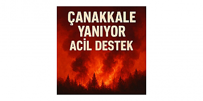 Ümit Demiroğlu’ndan Çanakkale İn­tepe’deki Yangın Felaketine Acil Müdahale Çağrısı
