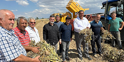 Üretici: “Geçen yıl sattığımız fiyata ürünümüzü satamıyoruz”