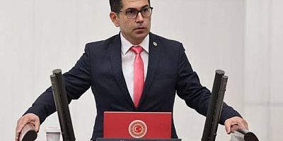 VEKİL HALICI: BAKTIKÇA ÖLDÜRDÜKLERİ ZEYTİN AĞAÇLARINI HATIRLASINLAR!