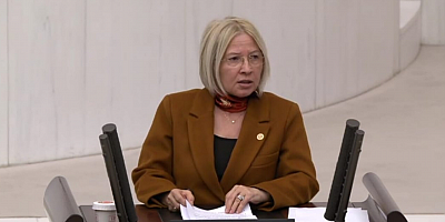 VEKİL YONTAR: SÖZDE BU YIL EMEKLİLERİN YILI OLACAKTI!